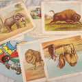 Lot 148 - Grouping Of Miscellaneous Antique And Vintage Children's Ephemera Including Partial "Wild Animals" Lithograph Book, "Tiny Tots A.B.C." Book, And Partial Hand-Colored "Little Bo Peep" Book