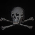 Lot 019 - Antique Hand Colored Odd Fellows I.O.O.F. Magic Lantern Glass Slide With Wood Holder, No. 3 Skull And Cross-Bones, Manufactured By The Henderson-Ames Co., Kalamazoo, Michigan