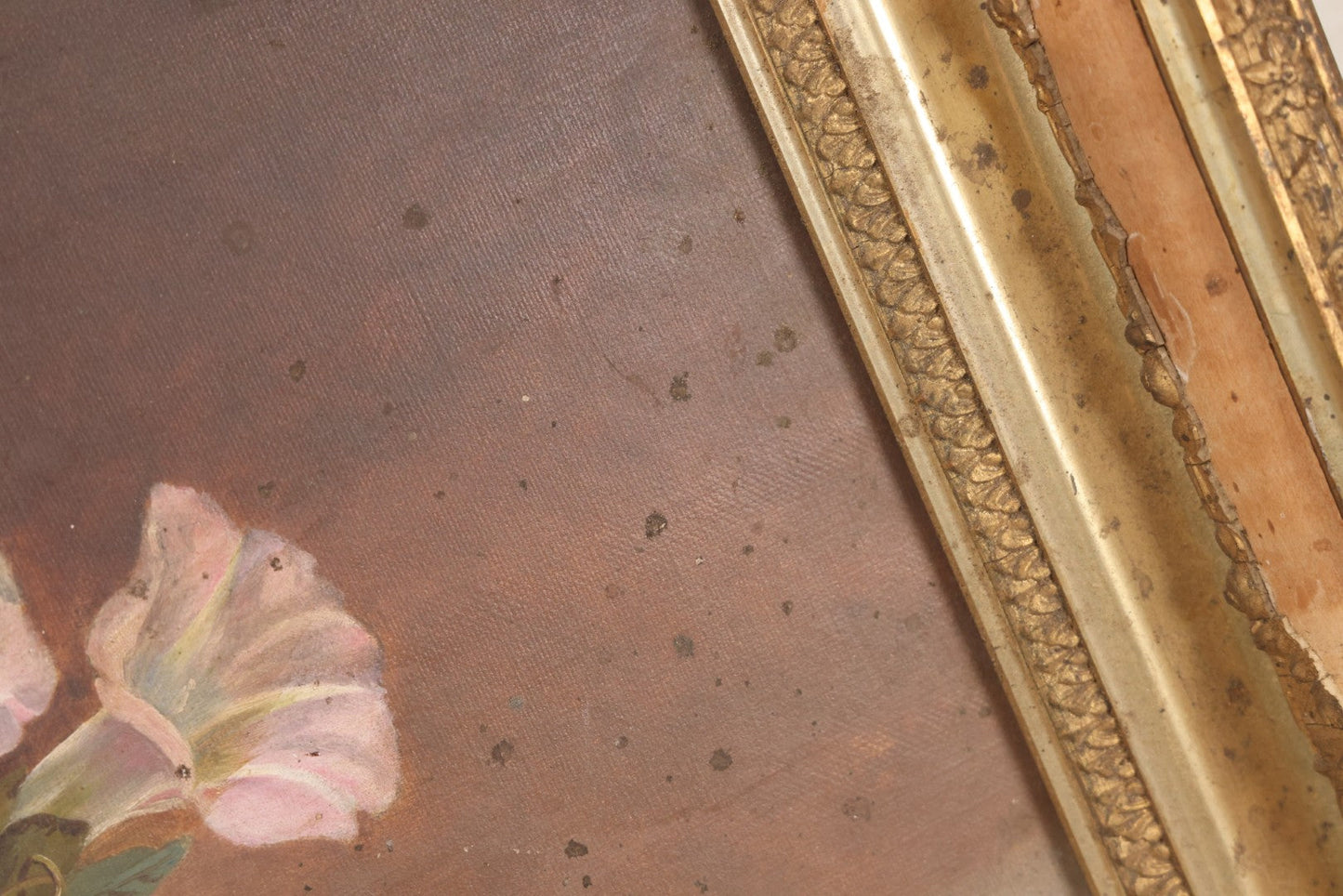 Lot 047 - Antique Still Life Oil On Canvas Painting Of Morning Glories In Gilt Gesso Frame, Late 19th Century, 23-5/8" x 17-3/4"