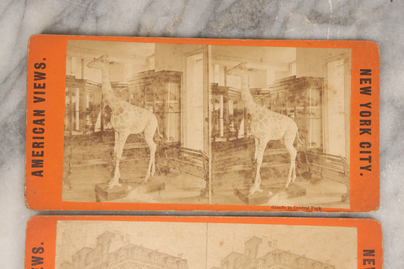 Lot 138 - Grouping Of Three Antique New York City Stereoview 3D Photograph Cards Including Booth's Theatre, Giraffe In Central Park, And Elephants In Central Park