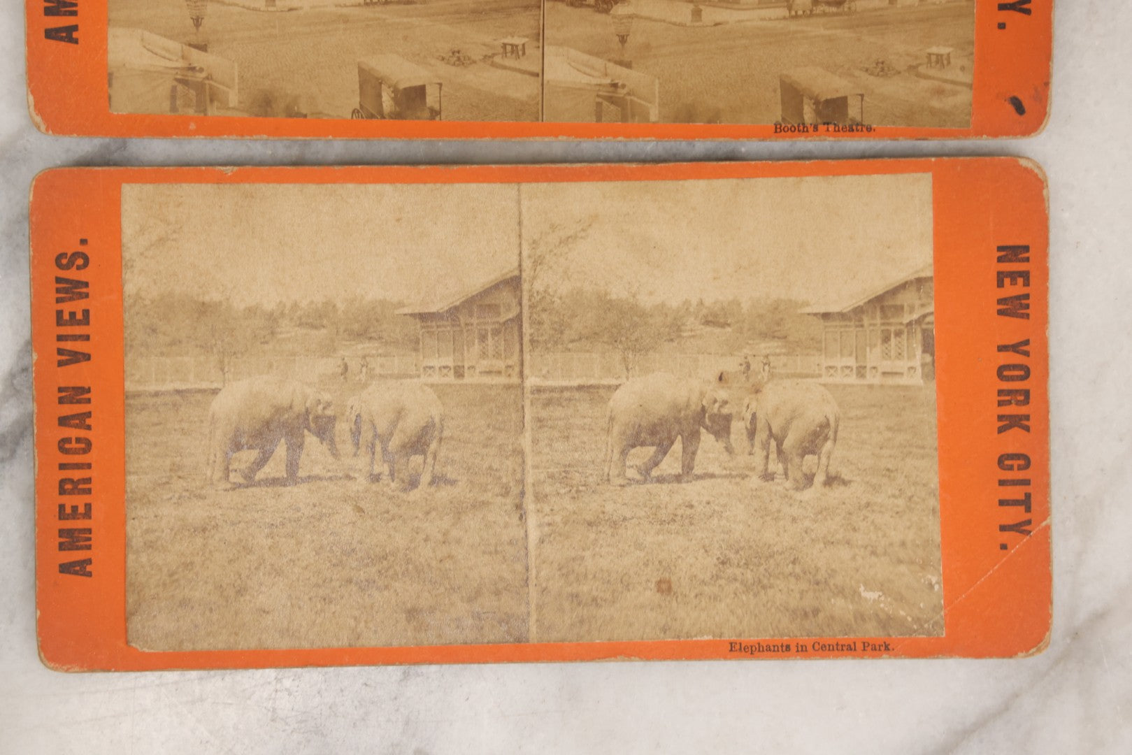 Lot 138 - Grouping Of Three Antique New York City Stereoview 3D Photograph Cards Including Booth's Theatre, Giraffe In Central Park, And Elephants In Central Park