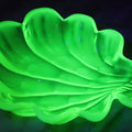 Lot 107 - Vintage Yellow-Green Uranium Vaseline Opalescent Glass Shell Dish, Glows Under Blacklight, In The Style Of Duncan Miller “Sanibel”