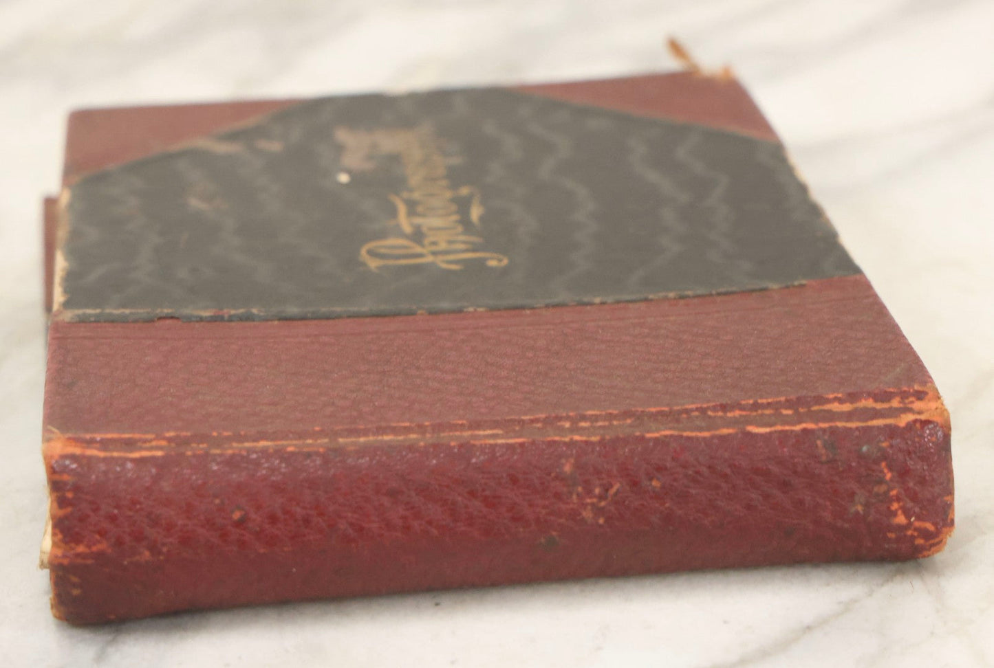 Lot 160 - Antique Snapshot Photo Album With Nineteen Photographs Including Men With Bicycles, Women At Beach, Dog Photos, And Family Memorial, Badger Plain Leaf Album No. 701 By Heinn Specialty Co., Milwaukee, Wisconsin, Circa 1895