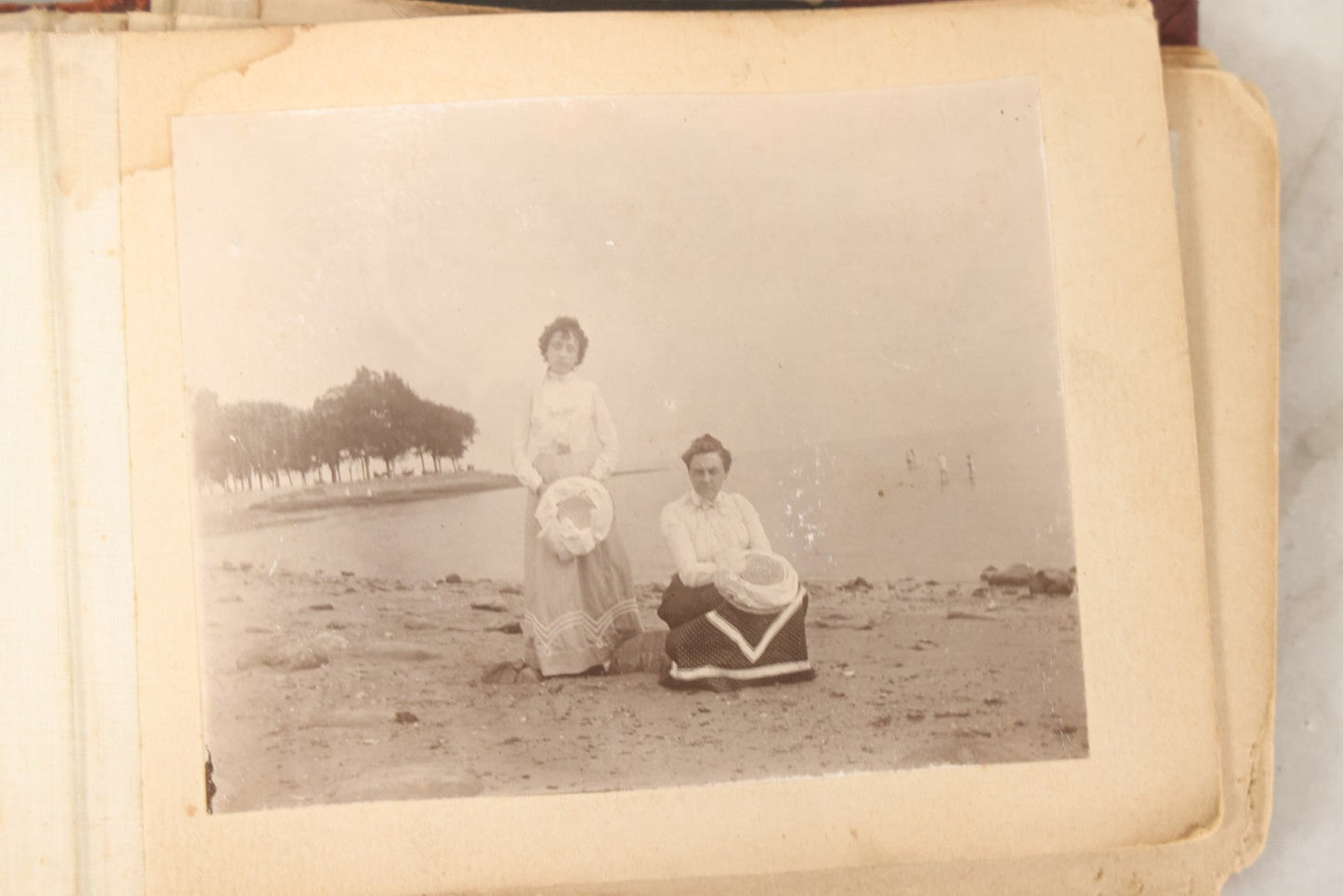 Lot 160 - Antique Snapshot Photo Album With Nineteen Photographs Including Men With Bicycles, Women At Beach, Dog Photos, And Family Memorial, Badger Plain Leaf Album No. 701 By Heinn Specialty Co., Milwaukee, Wisconsin, Circa 1895