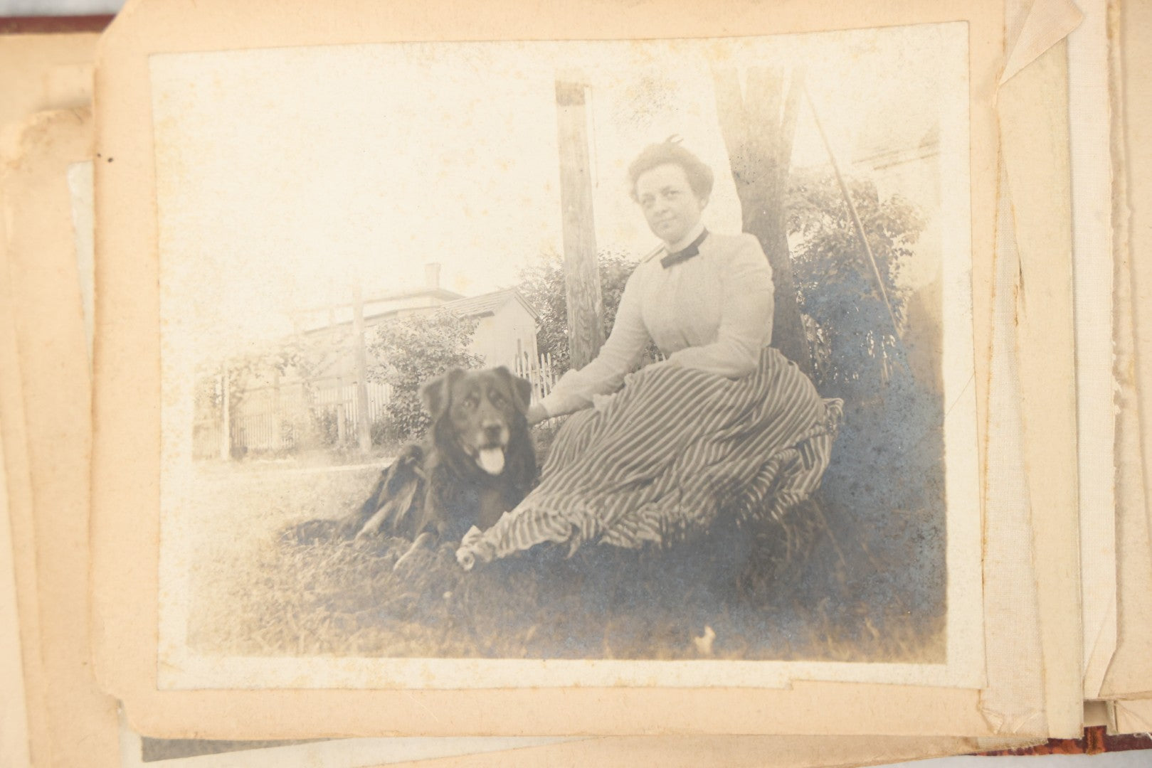Lot 160 - Antique Snapshot Photo Album With Nineteen Photographs Including Men With Bicycles, Women At Beach, Dog Photos, And Family Memorial, Badger Plain Leaf Album No. 701 By Heinn Specialty Co., Milwaukee, Wisconsin, Circa 1895