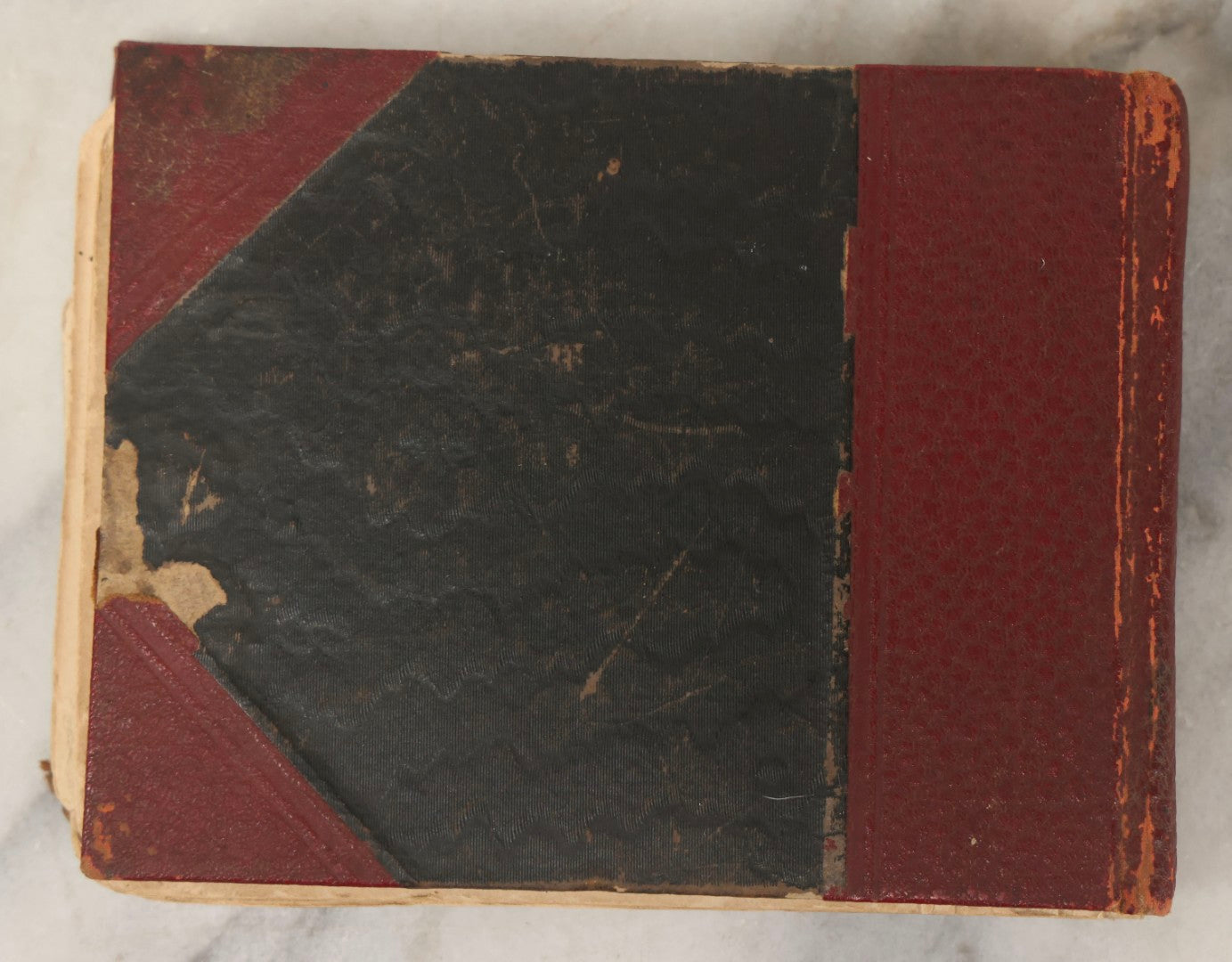 Lot 160 - Antique Snapshot Photo Album With Nineteen Photographs Including Men With Bicycles, Women At Beach, Dog Photos, And Family Memorial, Badger Plain Leaf Album No. 701 By Heinn Specialty Co., Milwaukee, Wisconsin, Circa 1895
