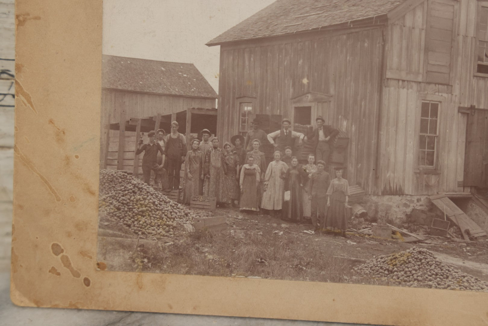 Lot 167 - Antique Boarded Occupational Photograph Of Farm Workers With Apple Harvest, Bad River Reservation, Northern Wisconsin