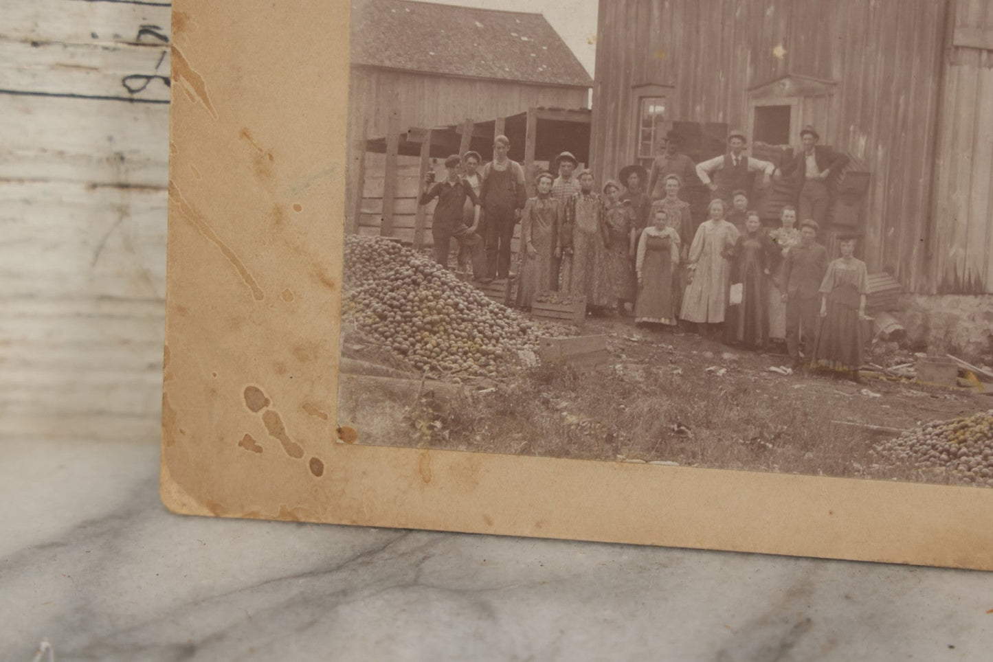 Lot 167 - Antique Boarded Occupational Photograph Of Farm Workers With Apple Harvest, Bad River Reservation, Northern Wisconsin