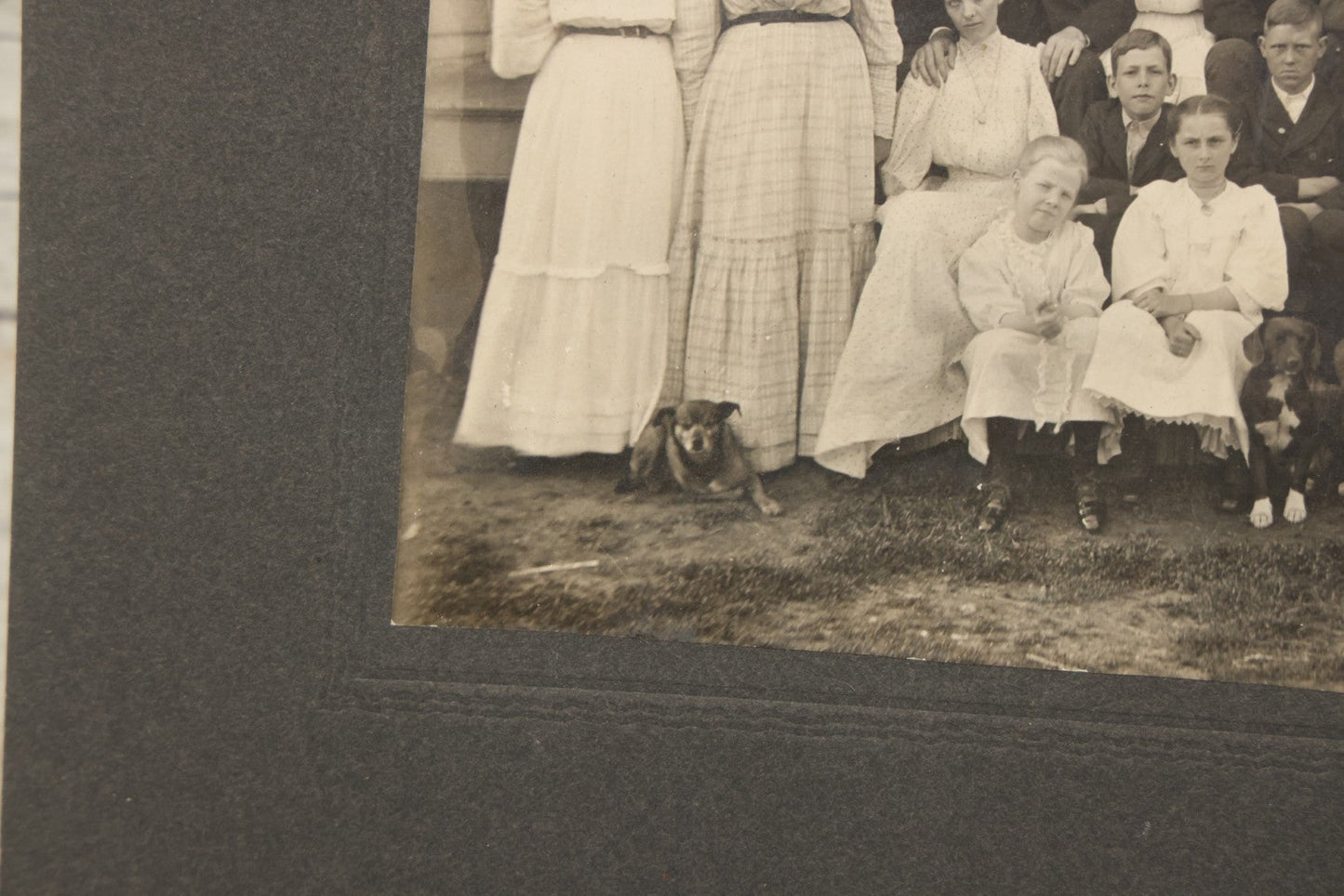 Lot 171 - Antique Boarded Group Family Photograph Of Three Generations Posed On Steps Of House With Two Dogs