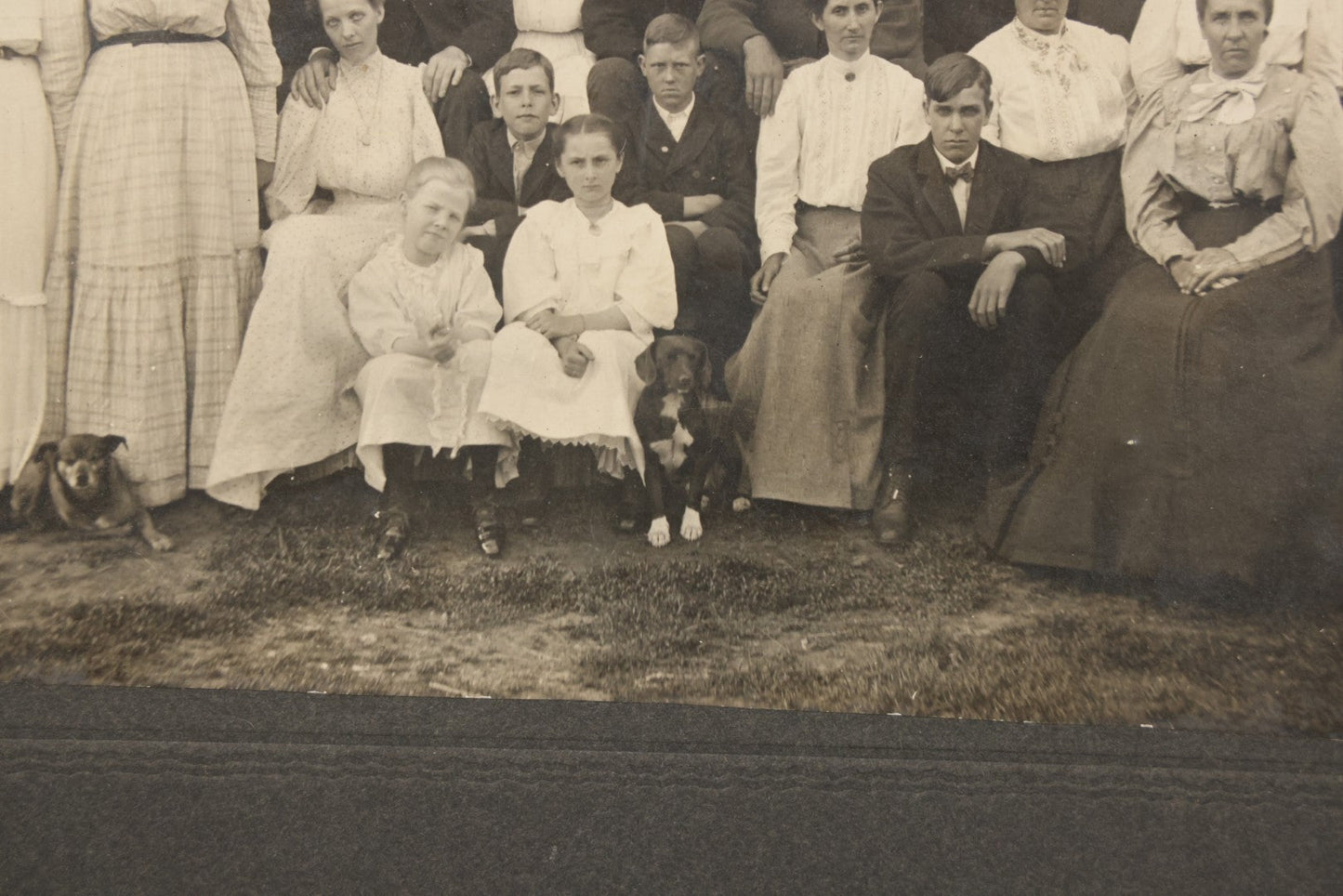Lot 171 - Antique Boarded Group Family Photograph Of Three Generations Posed On Steps Of House With Two Dogs