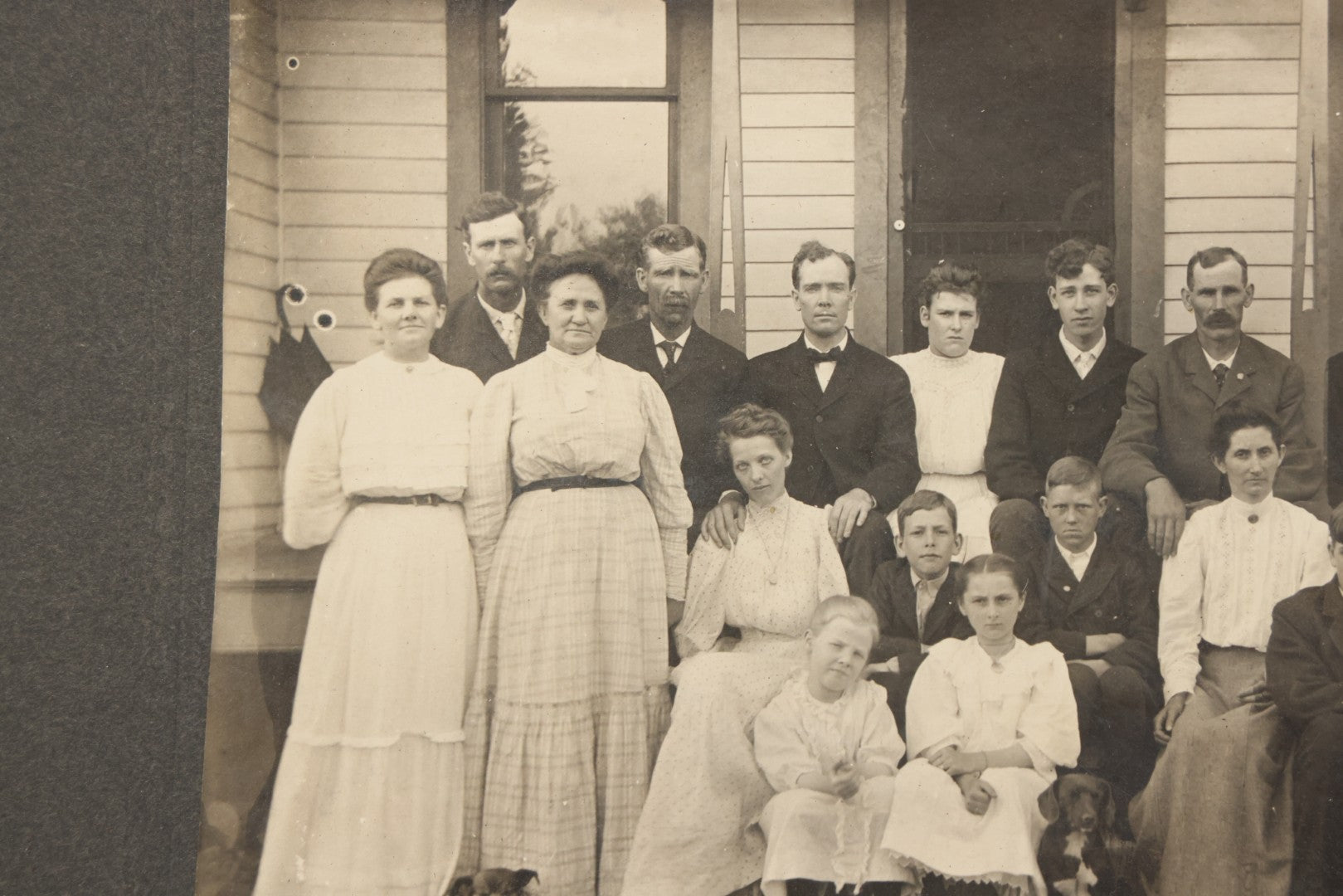 Lot 171 - Antique Boarded Group Family Photograph Of Three Generations Posed On Steps Of House With Two Dogs