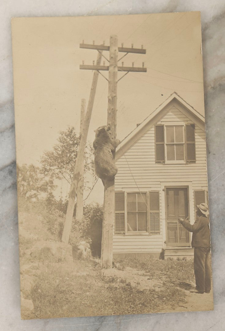 Lot 186 - Antique Real Photo Postcard RPPC “Trained Bear, Weare, New Hampshire” Depicting Man And Climbing Bear Beside House