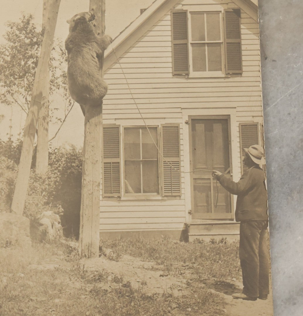 Lot 186 - Antique Real Photo Postcard RPPC “Trained Bear, Weare, New Hampshire” Depicting Man And Climbing Bear Beside House