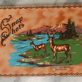 Lot 215 - Vintage Souvenir Photo Album “Sault Ste. Marie, Michigan” With 45 Snapshots, 1955–1957