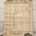 Lot 235 - Vintage Advertising Poster “Chiropractic Chart Of Autonomic Nervous System,” National College Of Chiropractic, Chicago, Illinois, 1938, Note Poor Condition 24" x 35-1/2"