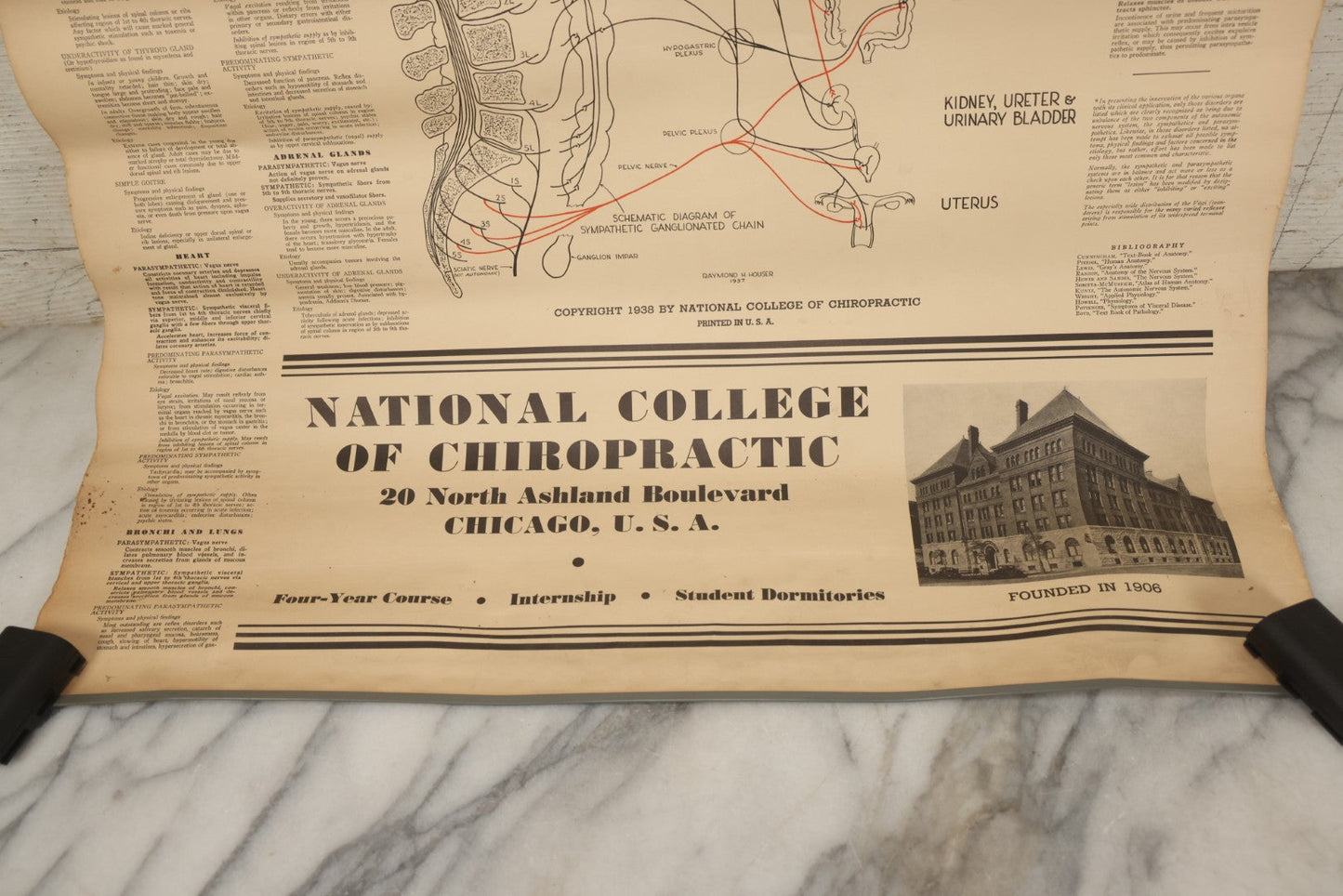 Lot 235 - Vintage Advertising Poster “Chiropractic Chart Of Autonomic Nervous System,” National College Of Chiropractic, Chicago, Illinois, 1938, Note Poor Condition 24" x 35-1/2"