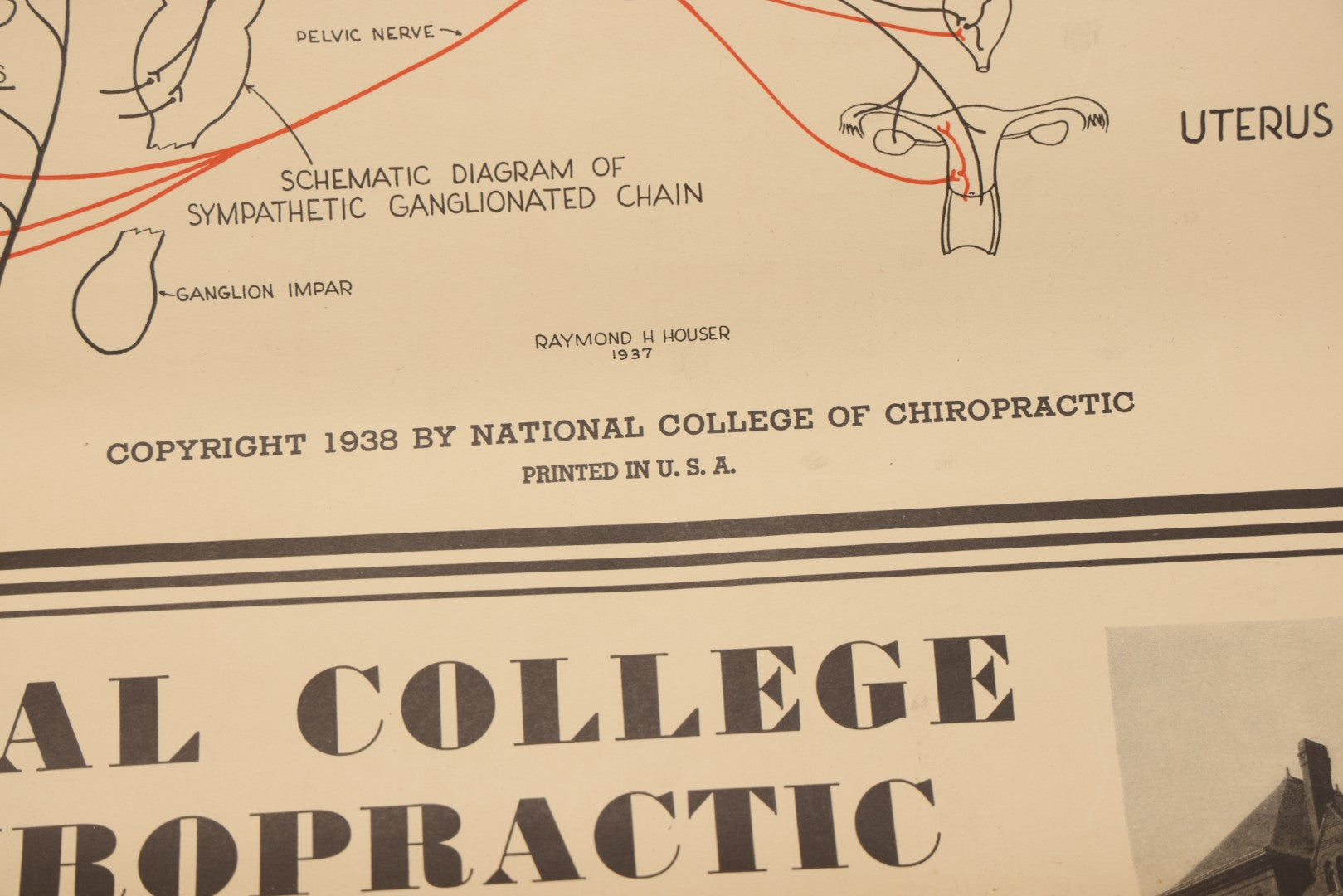 Lot 235 - Vintage Advertising Poster “Chiropractic Chart Of Autonomic Nervous System,” National College Of Chiropractic, Chicago, Illinois, 1938, Note Poor Condition 24" x 35-1/2"