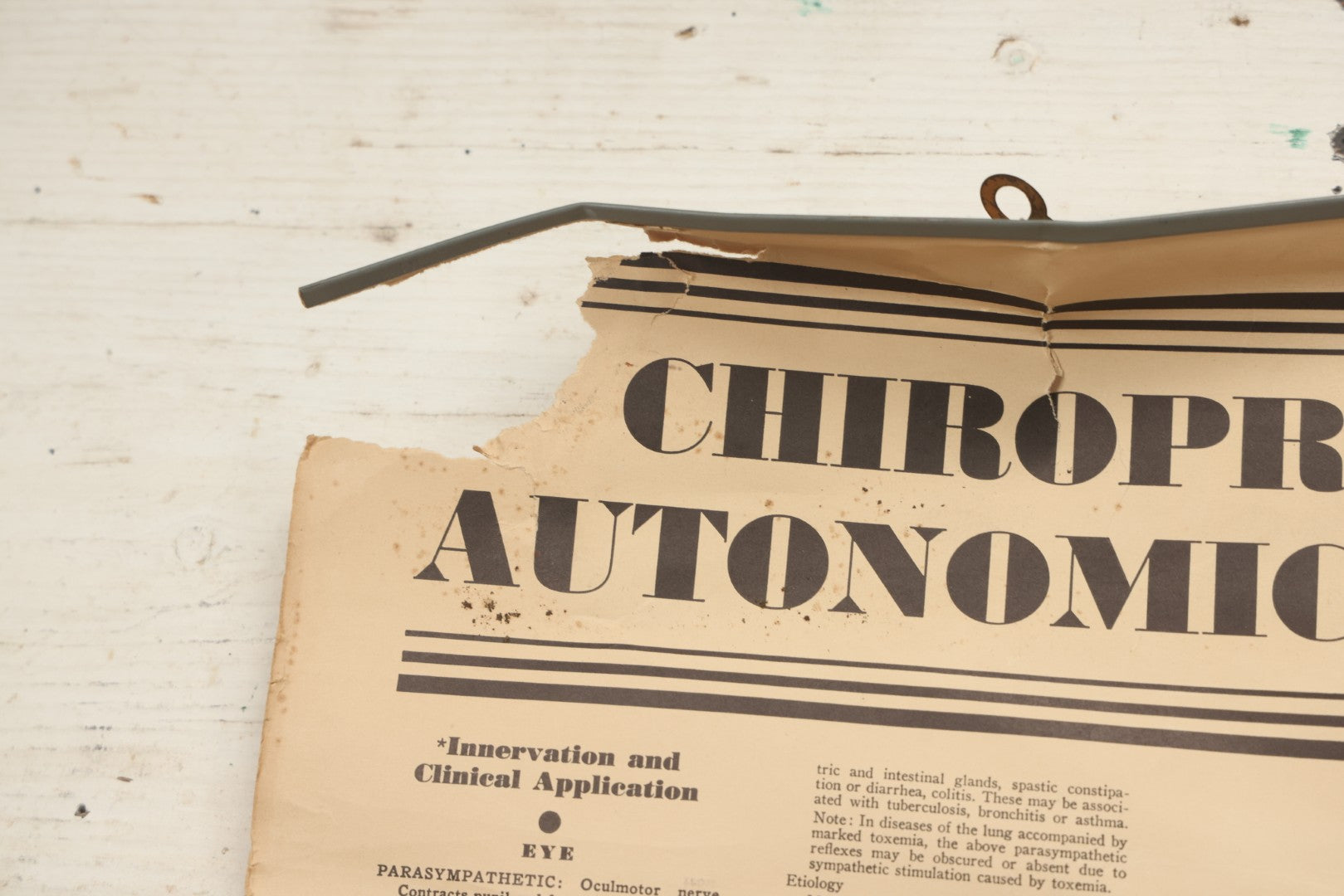 Lot 235 - Vintage Advertising Poster “Chiropractic Chart Of Autonomic Nervous System,” National College Of Chiropractic, Chicago, Illinois, 1938, Note Poor Condition 24" x 35-1/2"