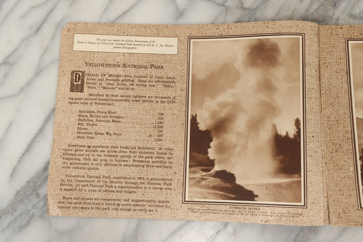 Lot 236 - "Yellowstone: The Wonderland Domain Of Bears" Vintage Nature Photo Booklet With Photographs By Frank Jay Haynes And Jack Ellis Haynes, Published 1929 By Haynes Picture Shops Inc., Yellowstone Park, Wyoming, And St. Paul, Minnesota