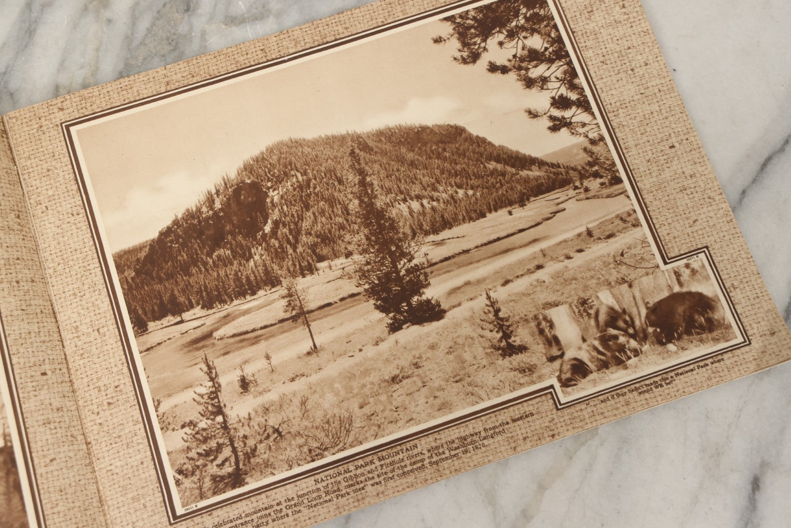 Lot 236 - "Yellowstone: The Wonderland Domain Of Bears" Vintage Nature Photo Booklet With Photographs By Frank Jay Haynes And Jack Ellis Haynes, Published 1929 By Haynes Picture Shops Inc., Yellowstone Park, Wyoming, And St. Paul, Minnesota