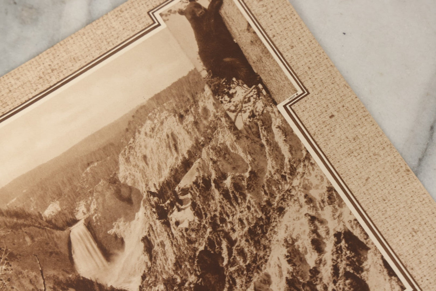 Lot 236 - "Yellowstone: The Wonderland Domain Of Bears" Vintage Nature Photo Booklet With Photographs By Frank Jay Haynes And Jack Ellis Haynes, Published 1929 By Haynes Picture Shops Inc., Yellowstone Park, Wyoming, And St. Paul, Minnesota