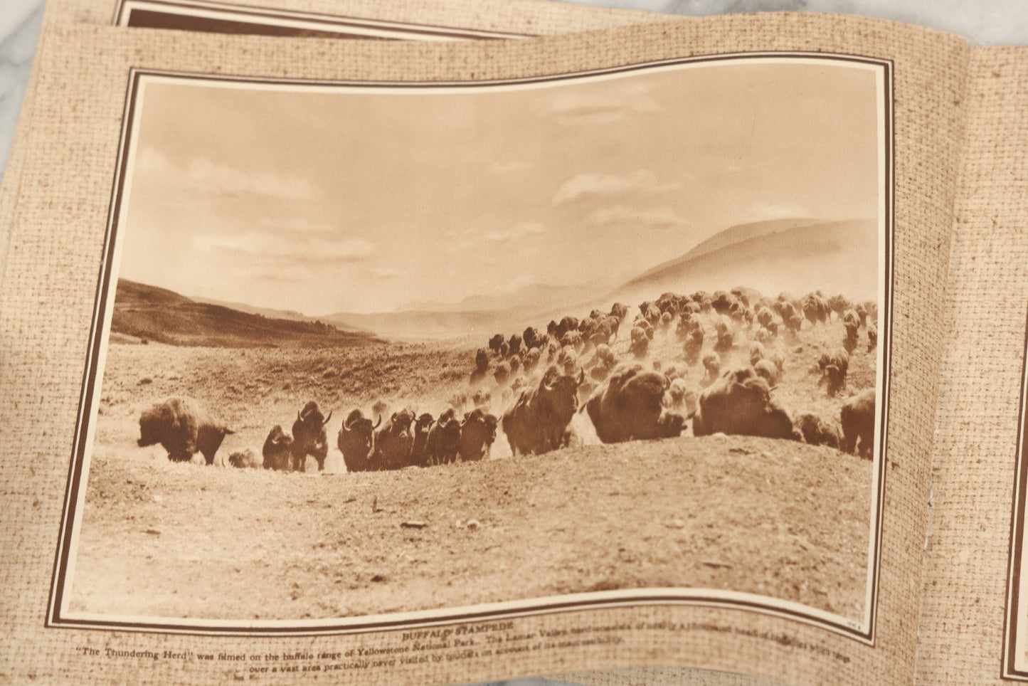 Lot 236 - "Yellowstone: The Wonderland Domain Of Bears" Vintage Nature Photo Booklet With Photographs By Frank Jay Haynes And Jack Ellis Haynes, Published 1929 By Haynes Picture Shops Inc., Yellowstone Park, Wyoming, And St. Paul, Minnesota