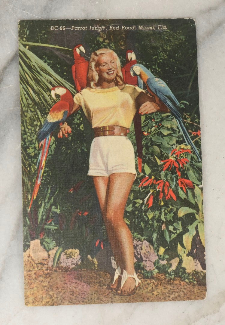 Lot 248 - Grouping Of Four Vintage Florida Linen Postcards Featuring Women, Parrots, And Tropical Scenes