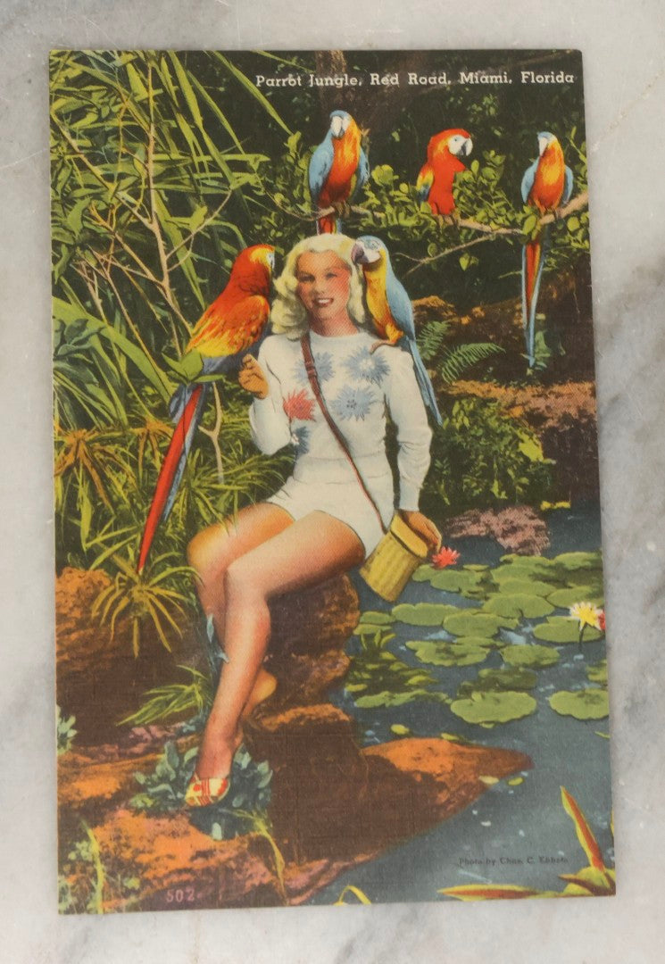 Lot 248 - Grouping Of Four Vintage Florida Linen Postcards Featuring Women, Parrots, And Tropical Scenes