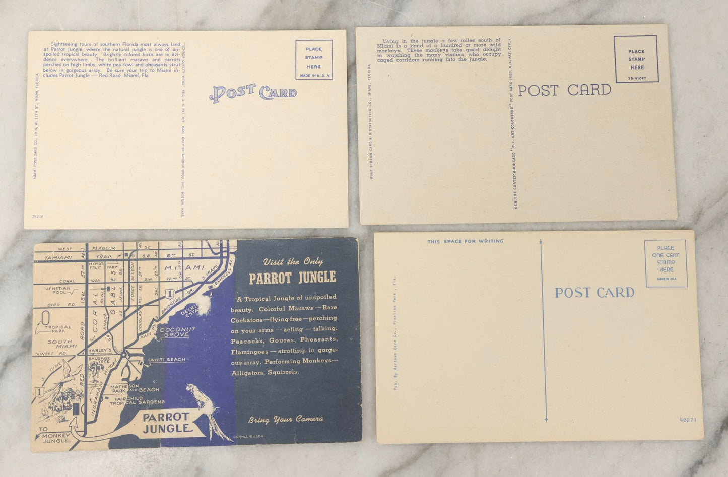 Lot 248 - Grouping Of Four Vintage Florida Linen Postcards Featuring Women, Parrots, And Tropical Scenes