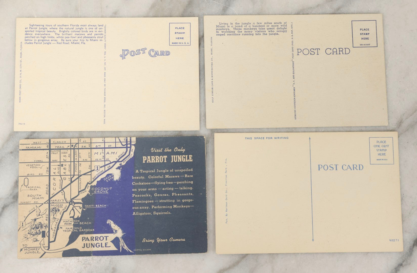 Lot 248 - Grouping Of Four Vintage Florida Linen Postcards Featuring Women, Parrots, And Tropical Scenes