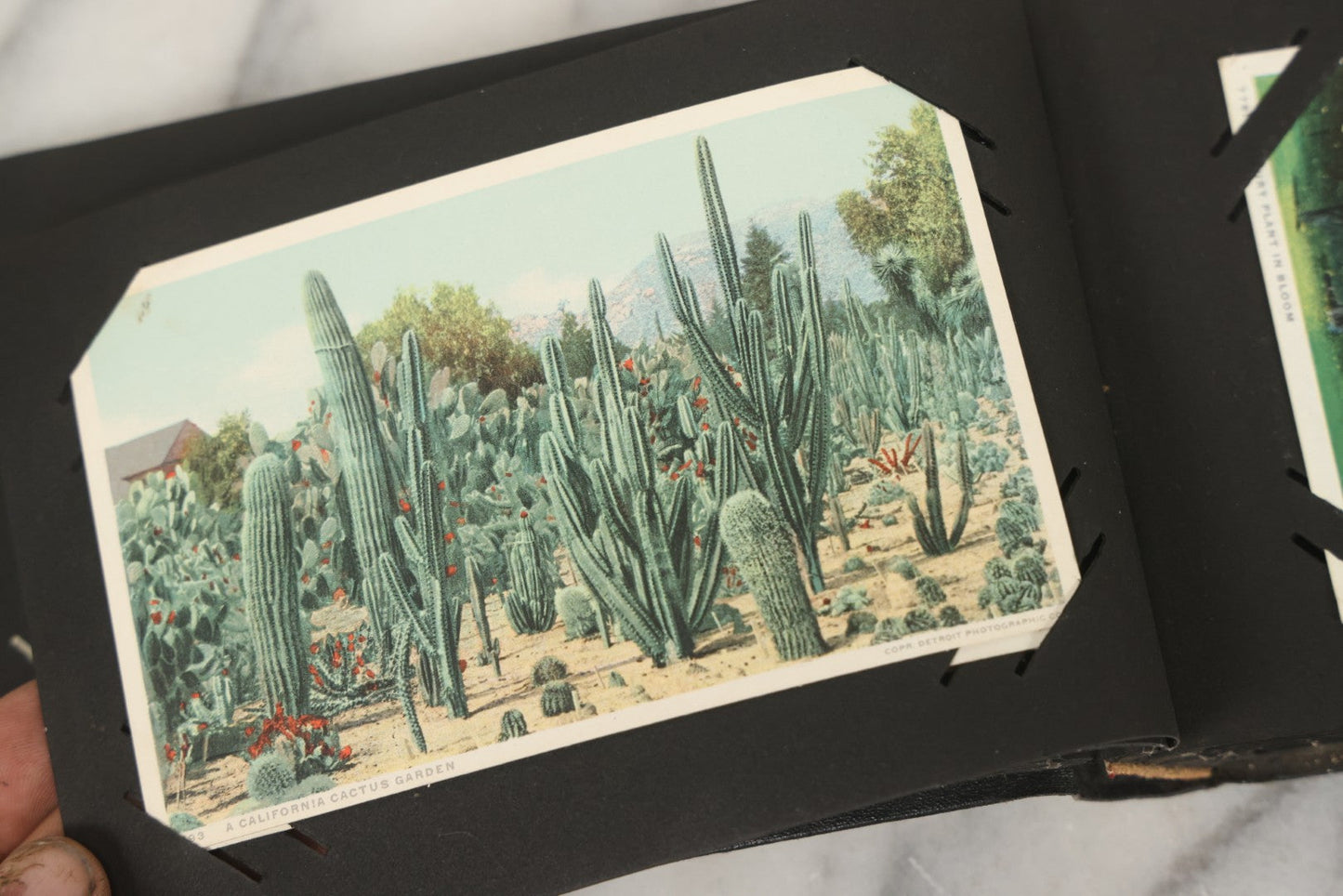 Lot 253 - Antique "Post Cards" Black Postcard Album With Gilt Title On Cover, Containing 27 Vintage Souvenir Postcards Of America