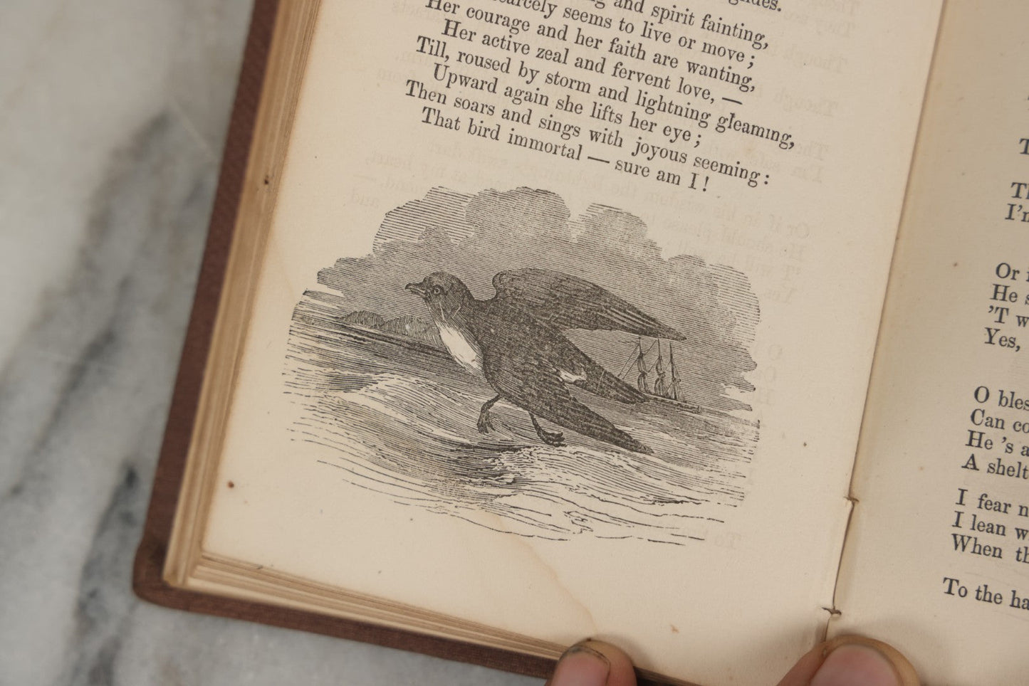 Lot 289 - "Harp Of The Willows" Antique Collected Poetry Book By Elvira, Published By Geo. C. Rand & Avery, Boston, 1861, With Gilt And Debossed Harp Design On Front Cover
