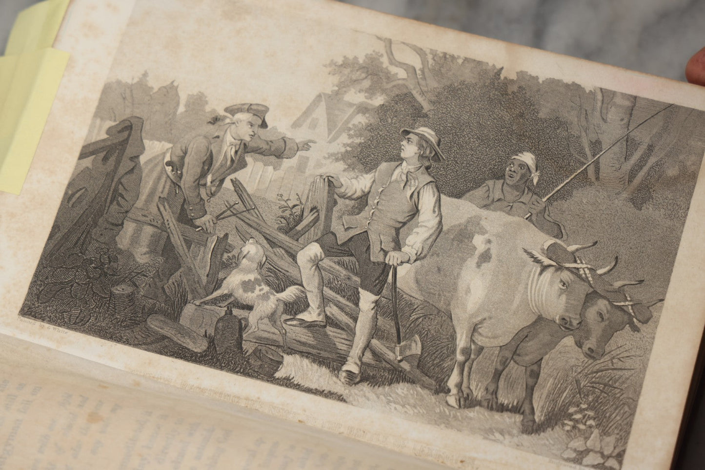 Lot 300 - "The Illustrated Life Of Washington" Antique Biography By Hon. J.T. Headley With Hand Colored Illustrations And Fold Out Map, Published By G. & F. Bill, New York, 1860