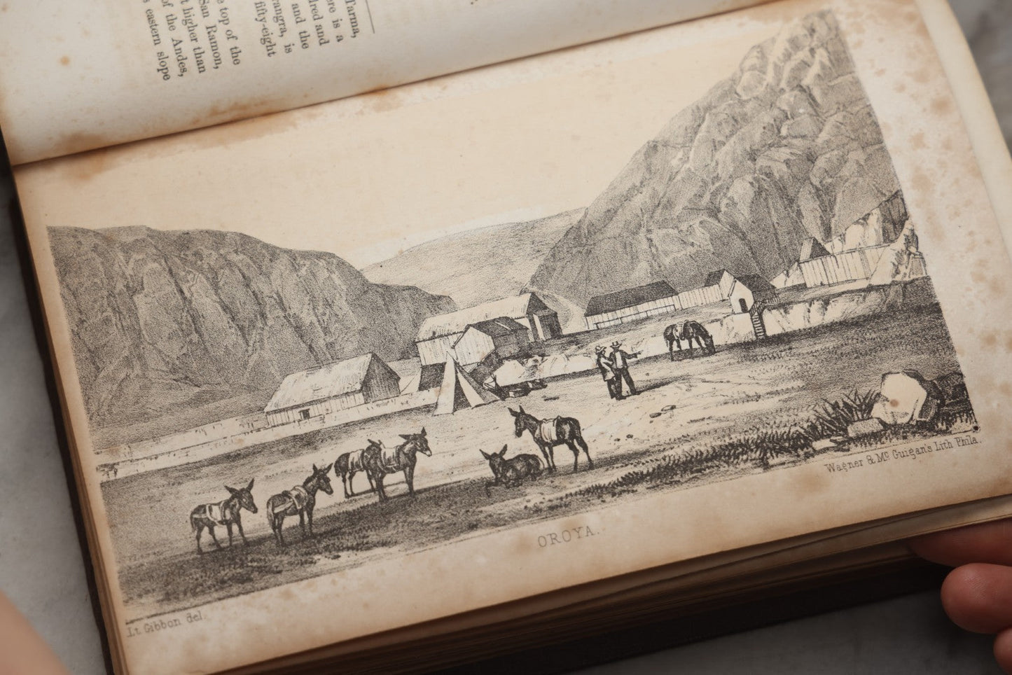 Lot 302 - "Exploration Of The Valley Of The Amazon" Antique U.S. Government Report By Wm. Lewis Herndon And Lardner Gibbon, Published By Robert Armstrong, Public Printer, Washington, 1854