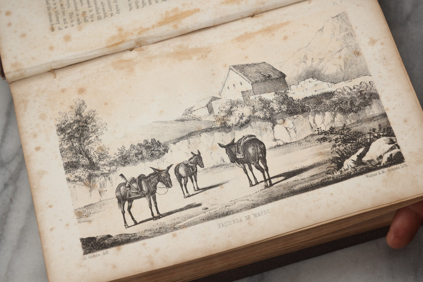 Lot 302 - "Exploration Of The Valley Of The Amazon" Antique U.S. Government Report By Wm. Lewis Herndon And Lardner Gibbon, Published By Robert Armstrong, Public Printer, Washington, 1854