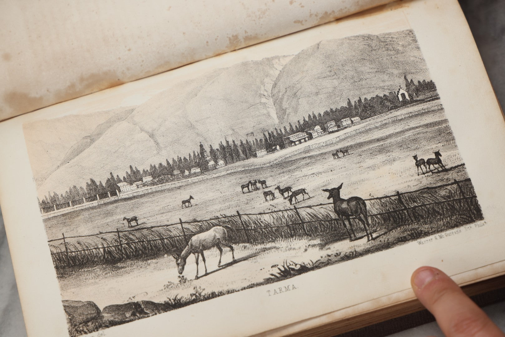 Lot 302 - "Exploration Of The Valley Of The Amazon" Antique U.S. Government Report By Wm. Lewis Herndon And Lardner Gibbon, Published By Robert Armstrong, Public Printer, Washington, 1854