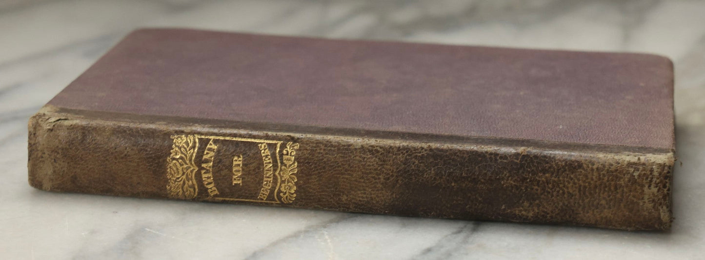 Lot 315 - "Botany For Beginners: An Introduction To Mrs. Lincoln's Lectures On Botany" Antique Illustrated Educational Book By Mrs. Phelps, Published By F.J. Huntington & Co., New York, 1842
