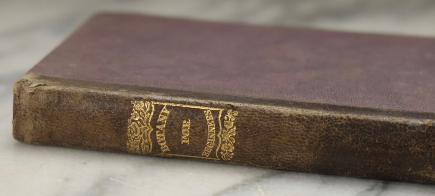 Lot 315 - "Botany For Beginners: An Introduction To Mrs. Lincoln's Lectures On Botany" Antique Illustrated Educational Book By Mrs. Phelps, Published By F.J. Huntington & Co., New York, 1842