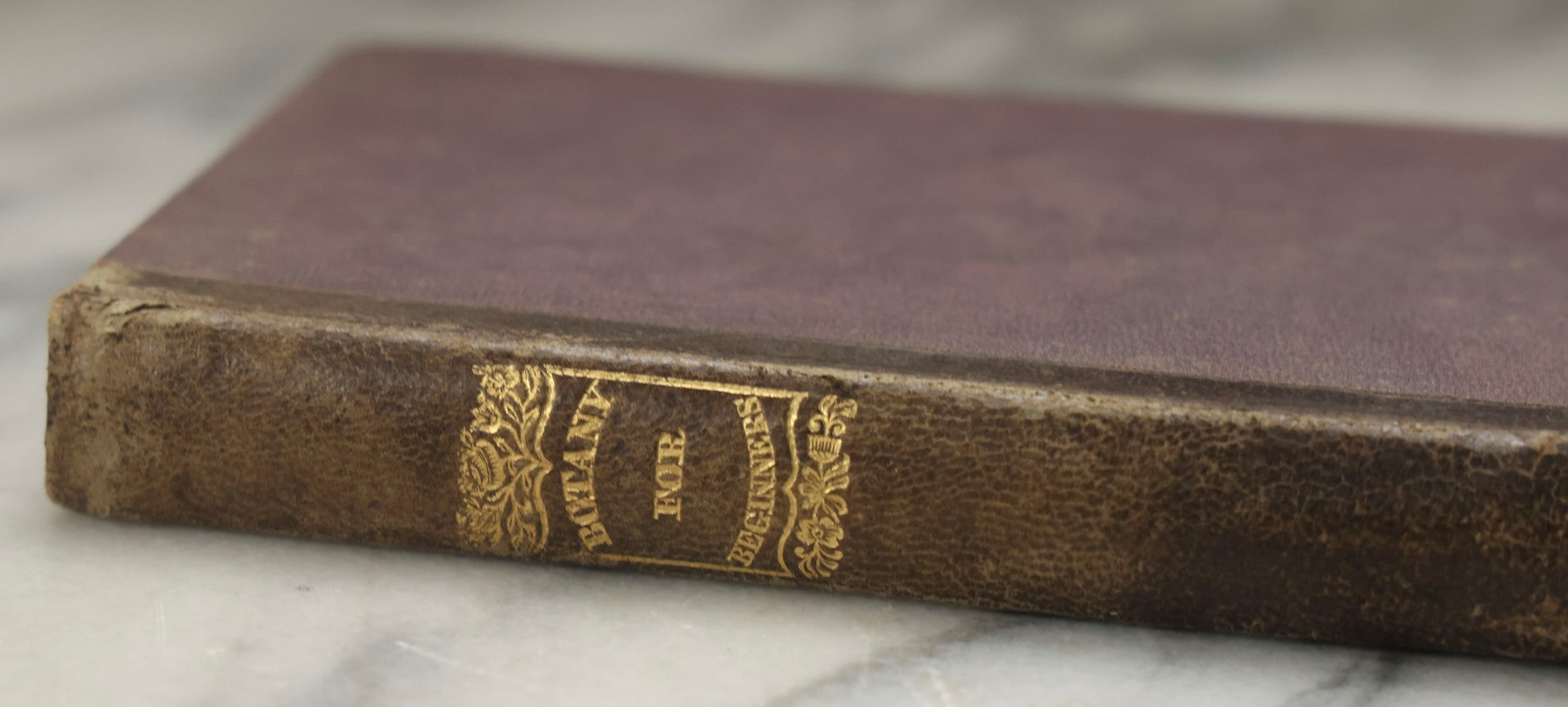Lot 315 - "Botany For Beginners: An Introduction To Mrs. Lincoln's Lectures On Botany" Antique Illustrated Educational Book By Mrs. Phelps, Published By F.J. Huntington & Co., New York, 1842