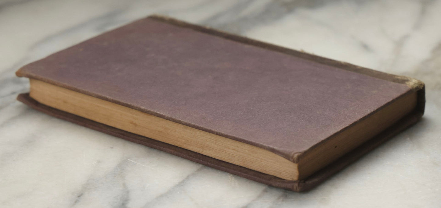 Lot 315 - "Botany For Beginners: An Introduction To Mrs. Lincoln's Lectures On Botany" Antique Illustrated Educational Book By Mrs. Phelps, Published By F.J. Huntington & Co., New York, 1842
