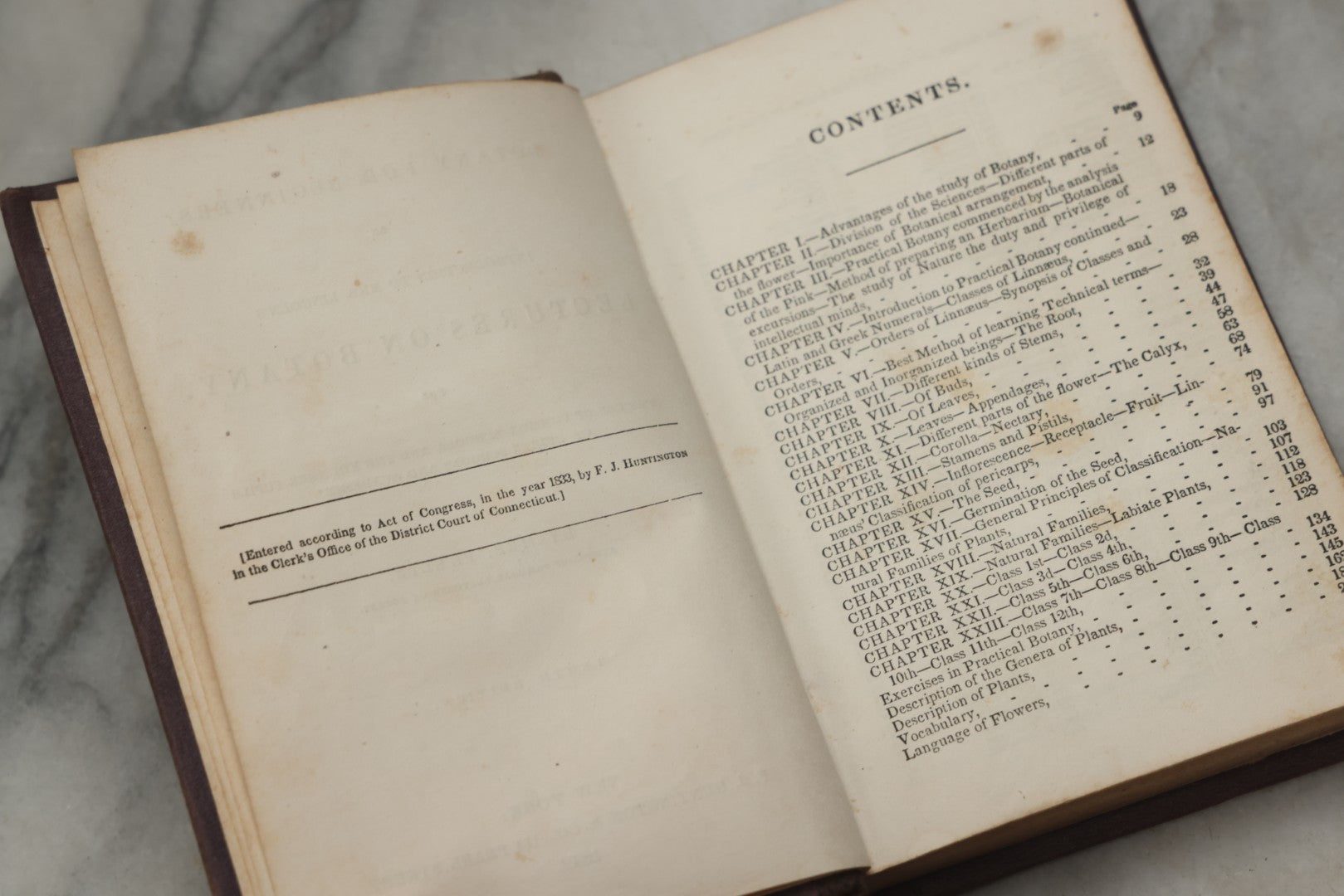 Lot 315 - "Botany For Beginners: An Introduction To Mrs. Lincoln's Lectures On Botany" Antique Illustrated Educational Book By Mrs. Phelps, Published By F.J. Huntington & Co., New York, 1842