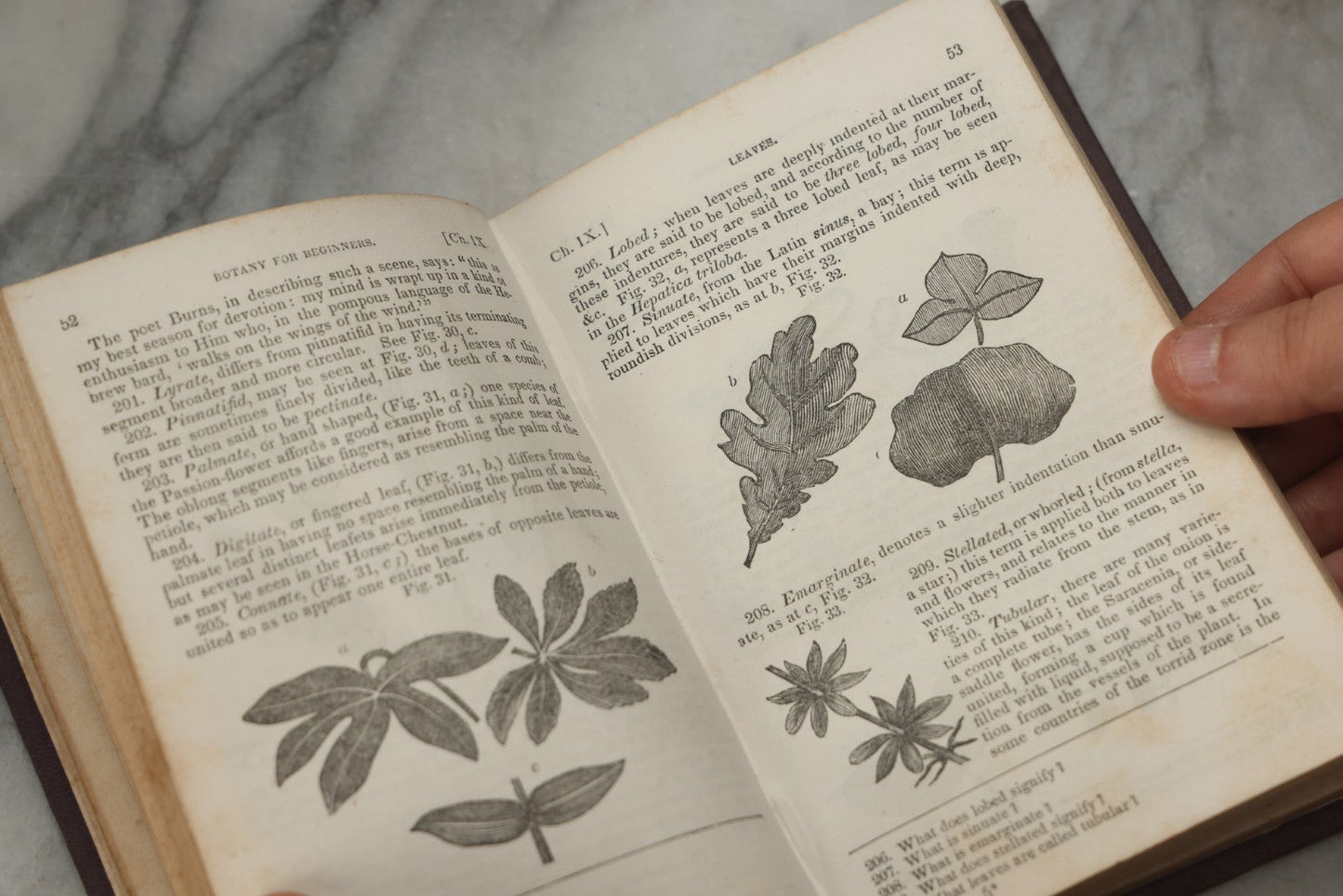 Lot 315 - "Botany For Beginners: An Introduction To Mrs. Lincoln's Lectures On Botany" Antique Illustrated Educational Book By Mrs. Phelps, Published By F.J. Huntington & Co., New York, 1842