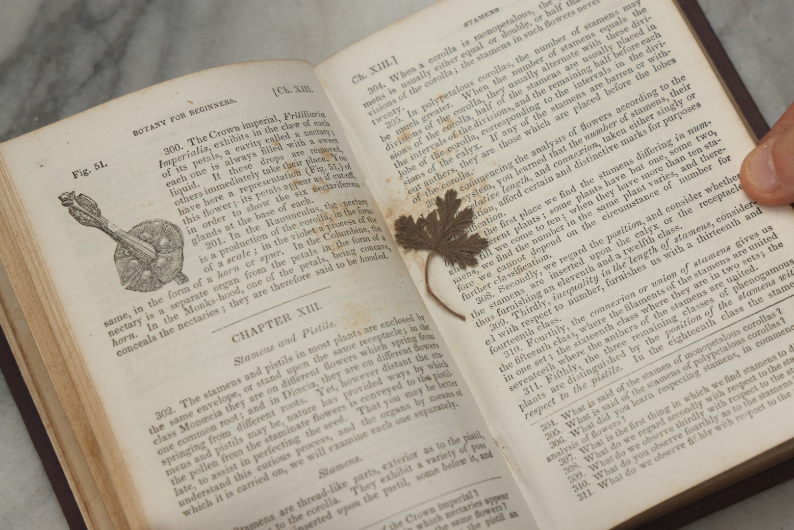 Lot 315 - "Botany For Beginners: An Introduction To Mrs. Lincoln's Lectures On Botany" Antique Illustrated Educational Book By Mrs. Phelps, Published By F.J. Huntington & Co., New York, 1842