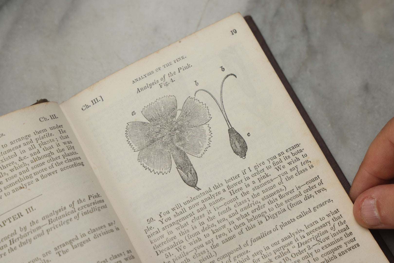 Lot 315 - "Botany For Beginners: An Introduction To Mrs. Lincoln's Lectures On Botany" Antique Illustrated Educational Book By Mrs. Phelps, Published By F.J. Huntington & Co., New York, 1842