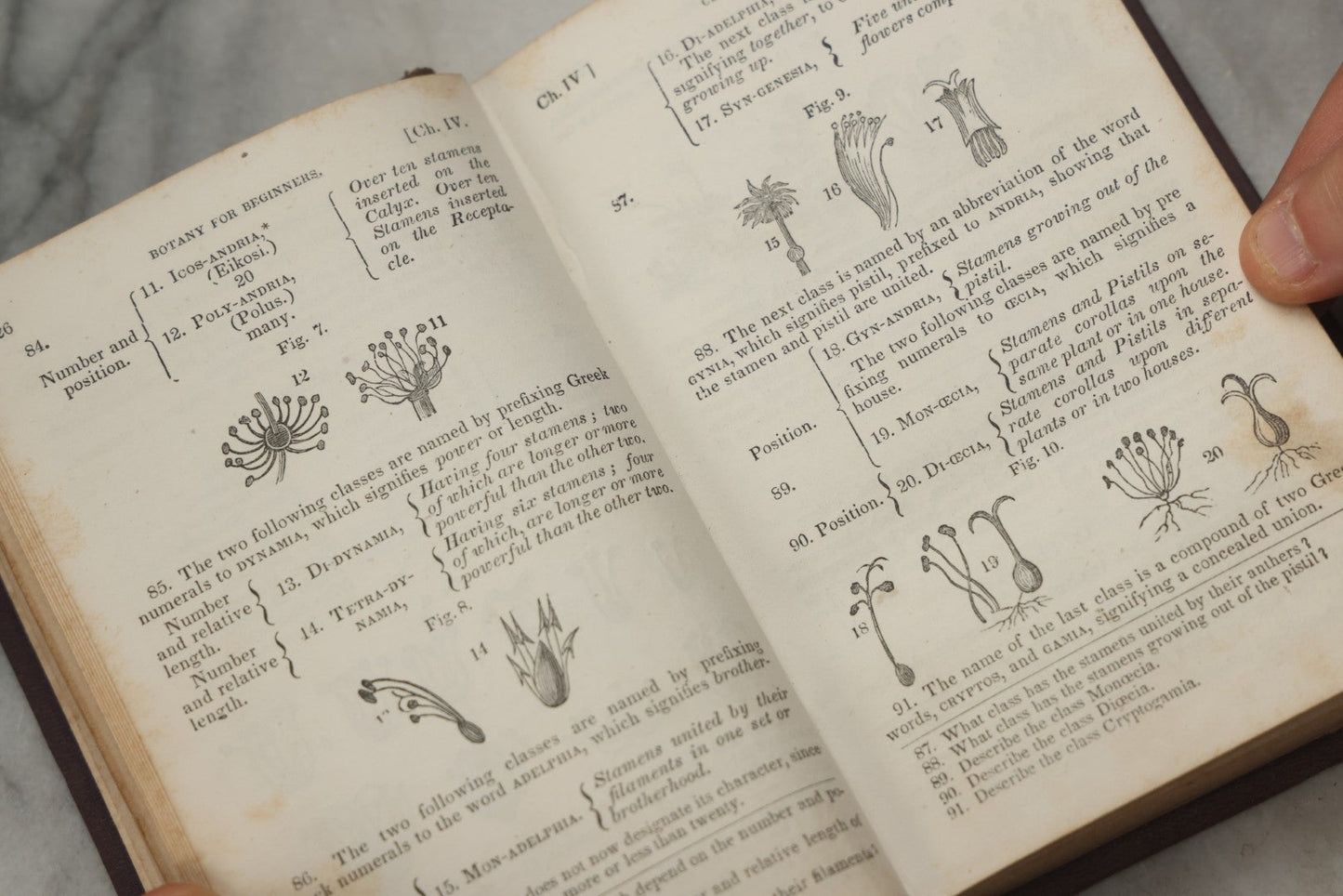 Lot 315 - "Botany For Beginners: An Introduction To Mrs. Lincoln's Lectures On Botany" Antique Illustrated Educational Book By Mrs. Phelps, Published By F.J. Huntington & Co., New York, 1842
