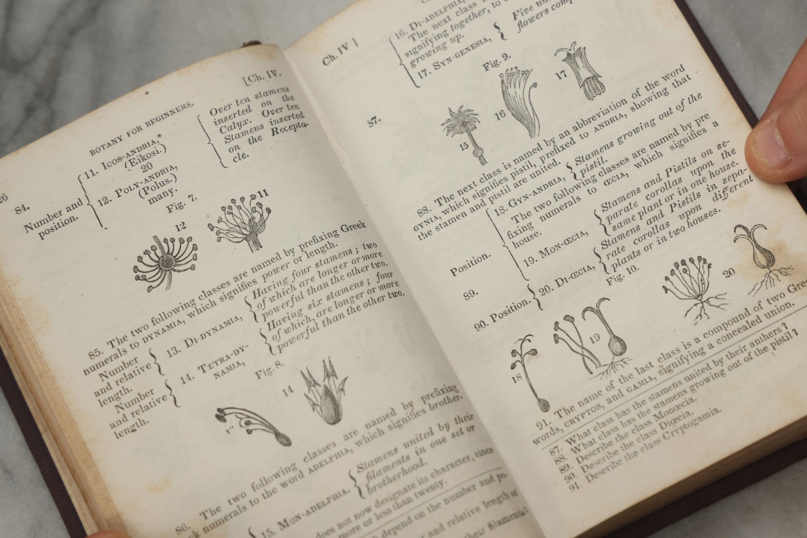 Lot 315 - "Botany For Beginners: An Introduction To Mrs. Lincoln's Lectures On Botany" Antique Illustrated Educational Book By Mrs. Phelps, Published By F.J. Huntington & Co., New York, 1842