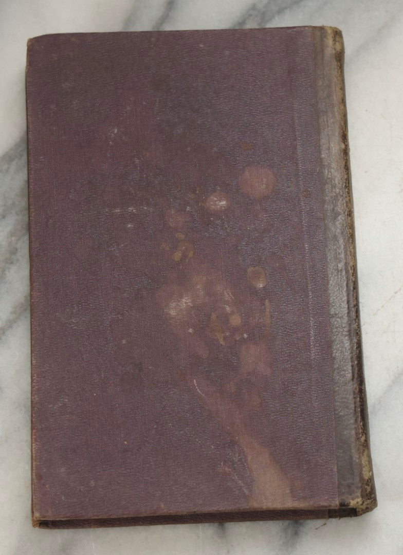 Lot 315 - "Botany For Beginners: An Introduction To Mrs. Lincoln's Lectures On Botany" Antique Illustrated Educational Book By Mrs. Phelps, Published By F.J. Huntington & Co., New York, 1842
