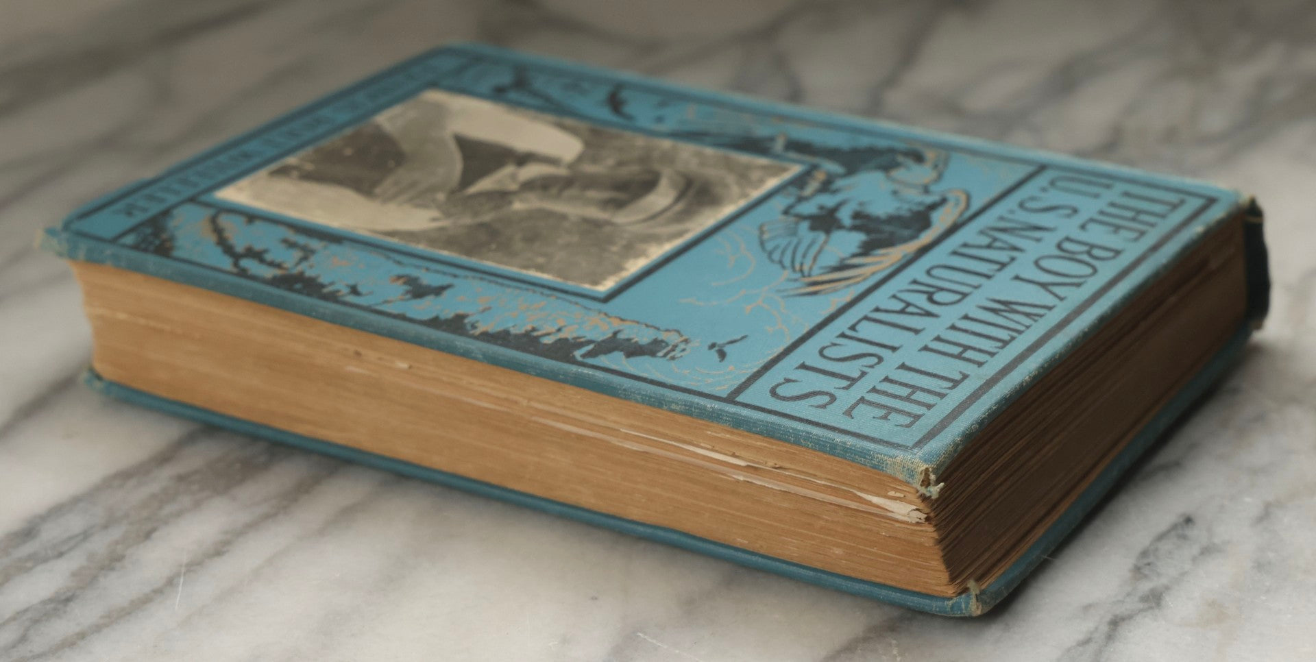 Lot 316 - "The Boy With The U.S. Naturalists" Antique Illustrated Adventure Book By Francis Rolt-Wheeler, Published By Lothrop, Lee & Shepard Co., Boston, 1918
