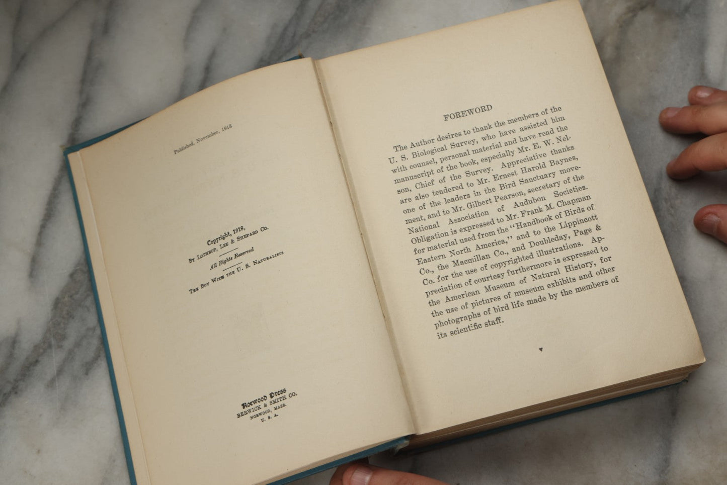 Lot 316 - "The Boy With The U.S. Naturalists" Antique Illustrated Adventure Book By Francis Rolt-Wheeler, Published By Lothrop, Lee & Shepard Co., Boston, 1918
