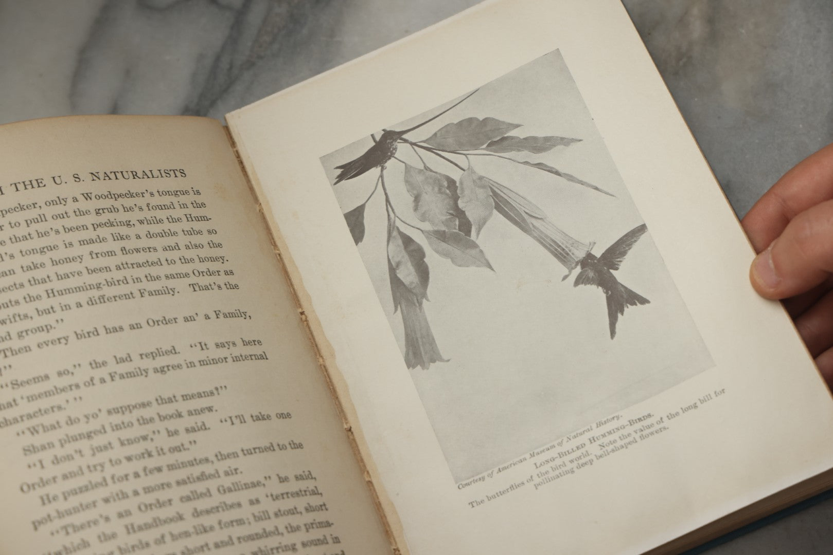 Lot 316 - "The Boy With The U.S. Naturalists" Antique Illustrated Adventure Book By Francis Rolt-Wheeler, Published By Lothrop, Lee & Shepard Co., Boston, 1918